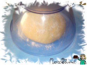 IMG_20150611_125436_1