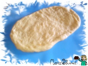 IMG_20150611_142603_1